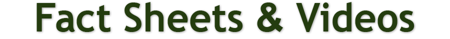Fact Sheets and Videos